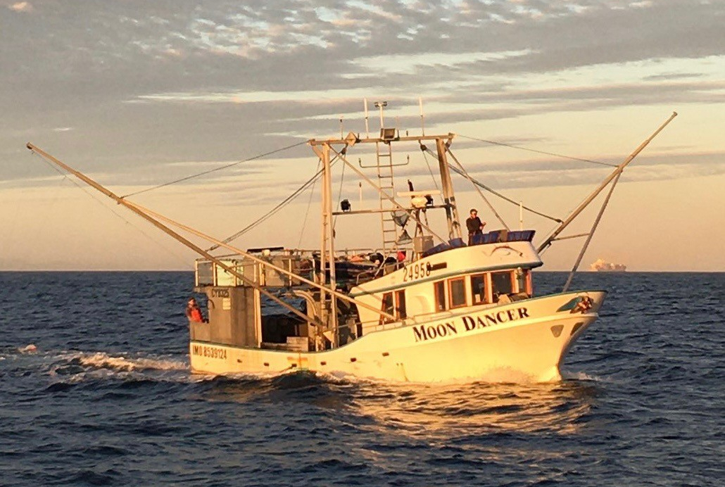 Sterling Seafoods Ltd. 